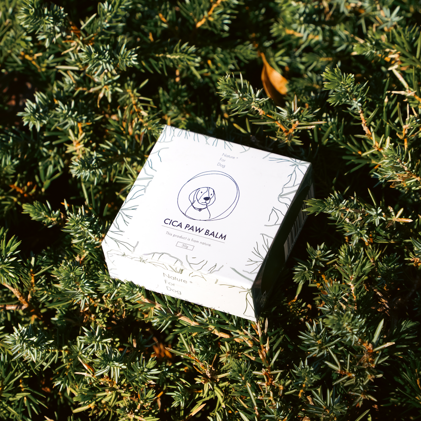 CICA PAW BALM -For All-