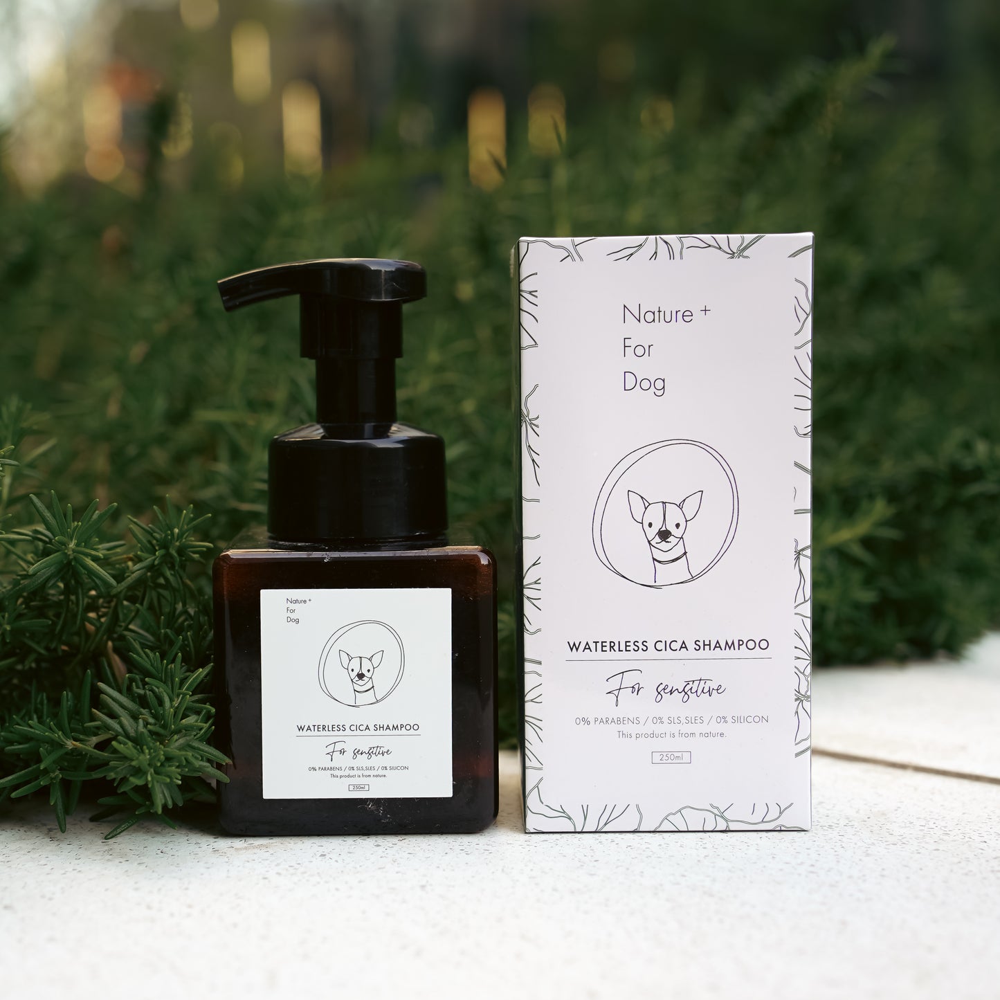 WATERLESS CICA SHAMPOO -For Sensitive-