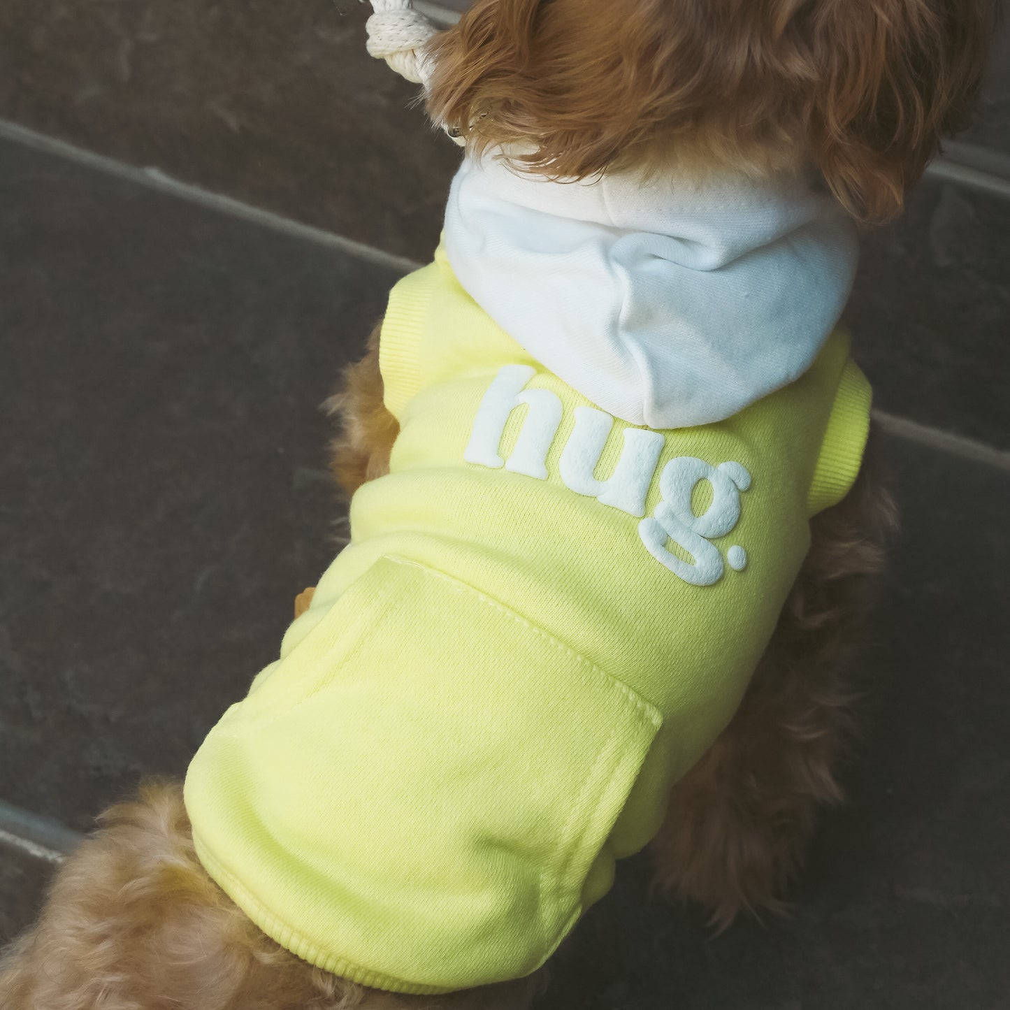hug foodie