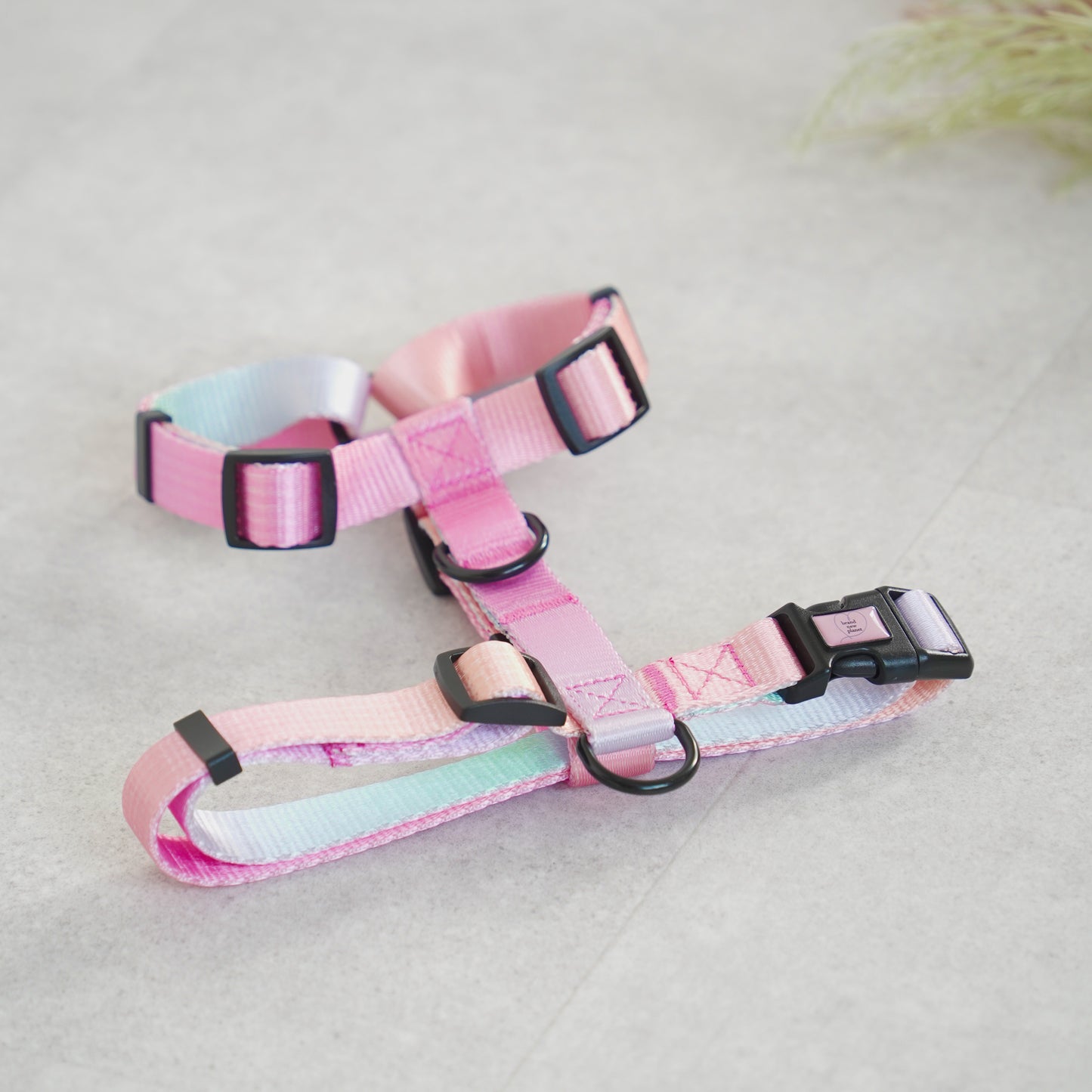 CANDY HARNESS 【brand new planet】