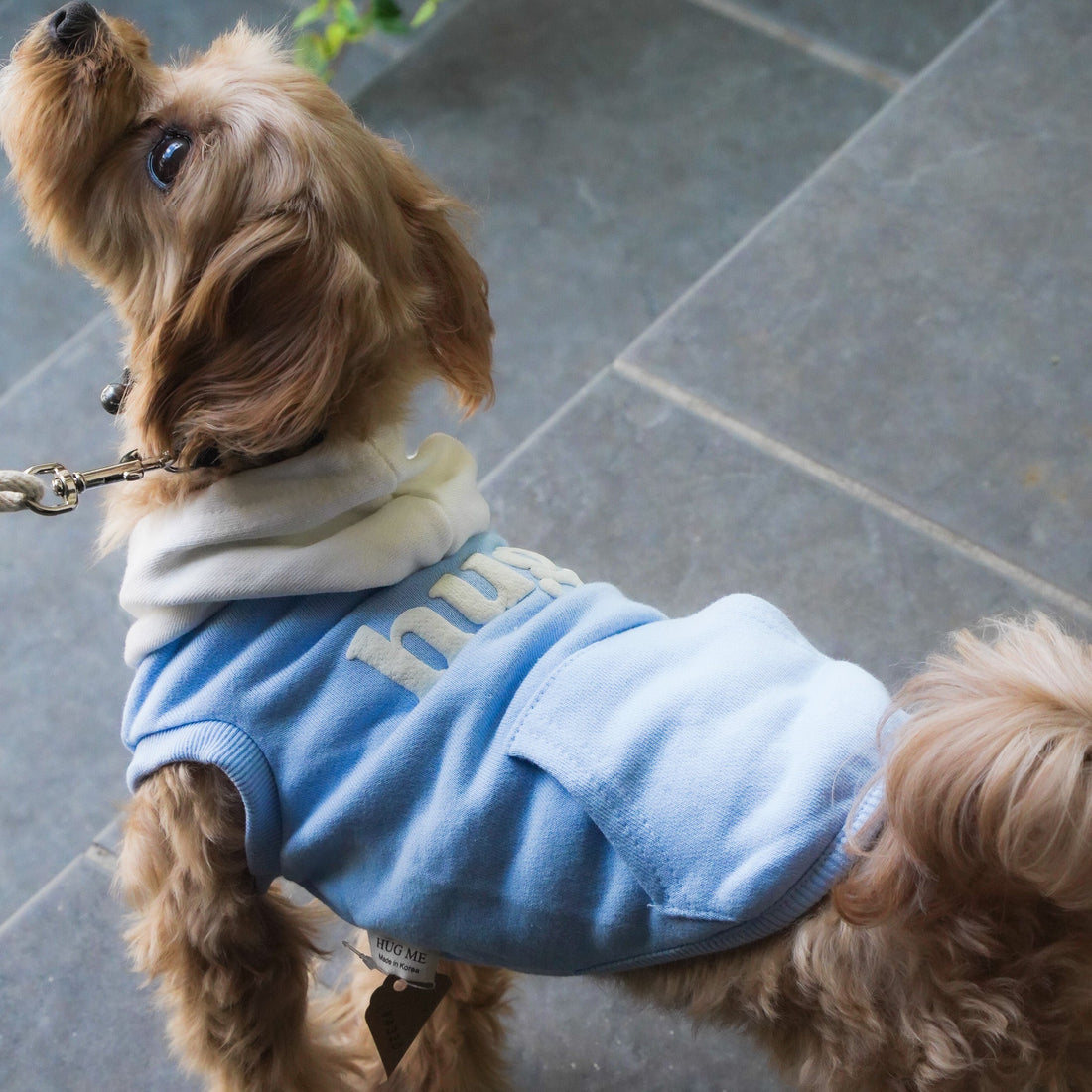 小型犬におすすめ！写真映えするおしゃれ犬服